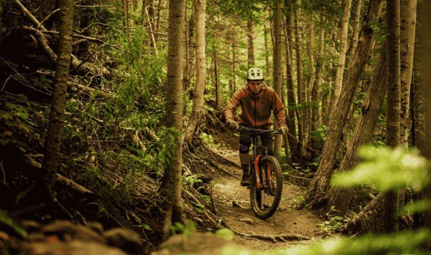 SE Asia: Jungle Treks & Mountain Biking Adventures
