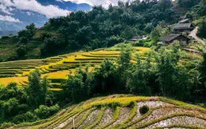 Trekking Traditions: SE Asia & Europe Wilderness Tours