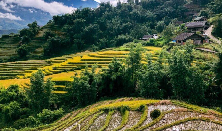 Trekking Traditions: SE Asia & Europe Wilderness Tours