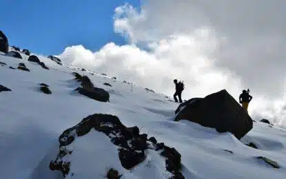 Mountaineering Nutrition: What to Eat on a 7000-Meter Expedition
