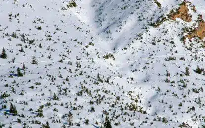 Safety First: Avalanche Risk Management for Backcountry Climbers