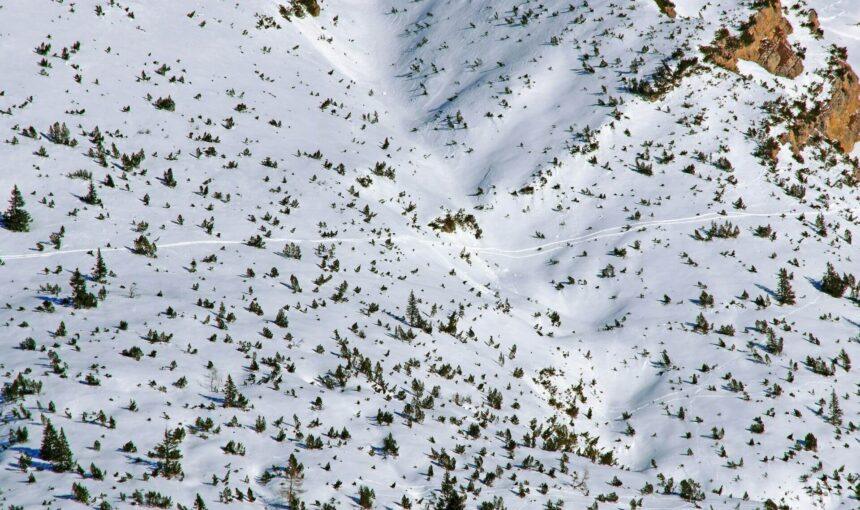 Safety First: Avalanche Risk Management for Backcountry Climbers