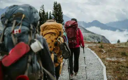 Training Like a Trekking Pro: Cardio Routines for Altitude Peaks
