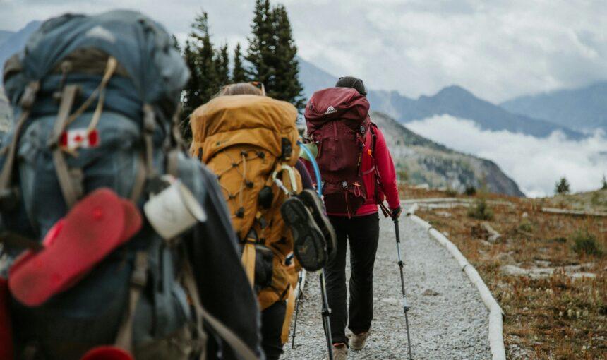 Training Like a Trekking Pro: Cardio Routines for Altitude Peaks