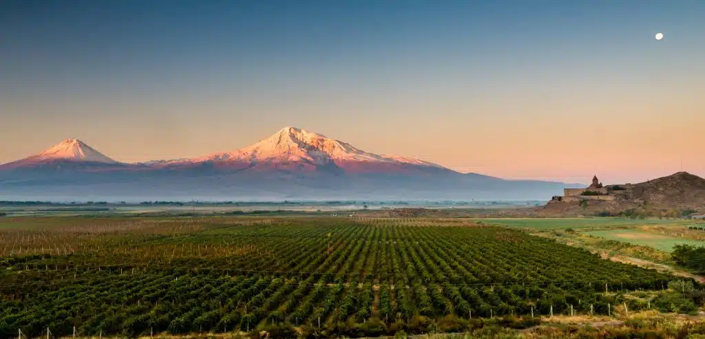 Khor Virap vineyard Ararat