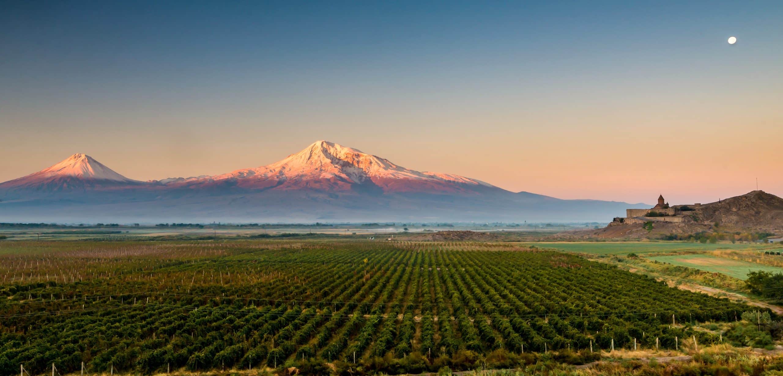 Khor Virap vineyard Ararat