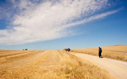 Camino de Santiago: Tips for First-Time Pilgrims