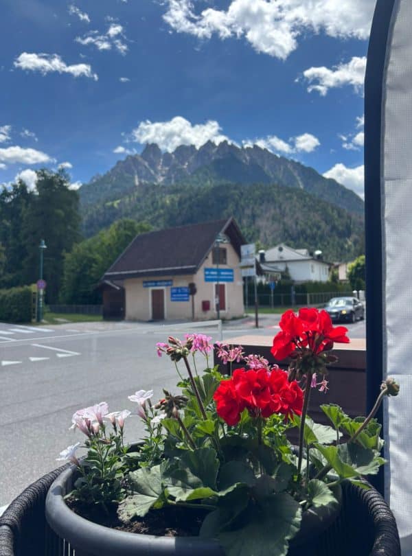 Flowers in foreground with Dolomites Alta Via 1 mountains in background