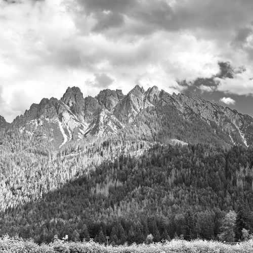 Dramatic black and white view of the Dolomites mountains, with forests and clouds.
