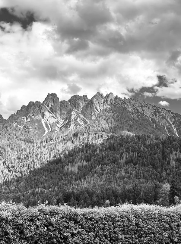 Dramatic black and white view of the Dolomites mountains, with forests and clouds.