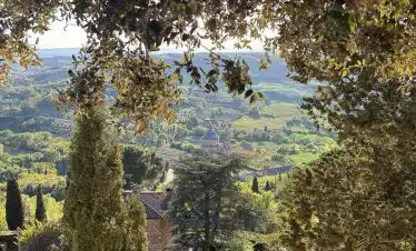 Montepulciano Italy view from coach-cycle with trees and villas