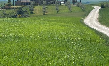 Tuscan villa and rolling green hills, perfect for a Montepulciano coach-cycle tour.