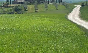 Tuscan villa and rolling green hills, perfect for a Montepulciano coach-cycle tour.