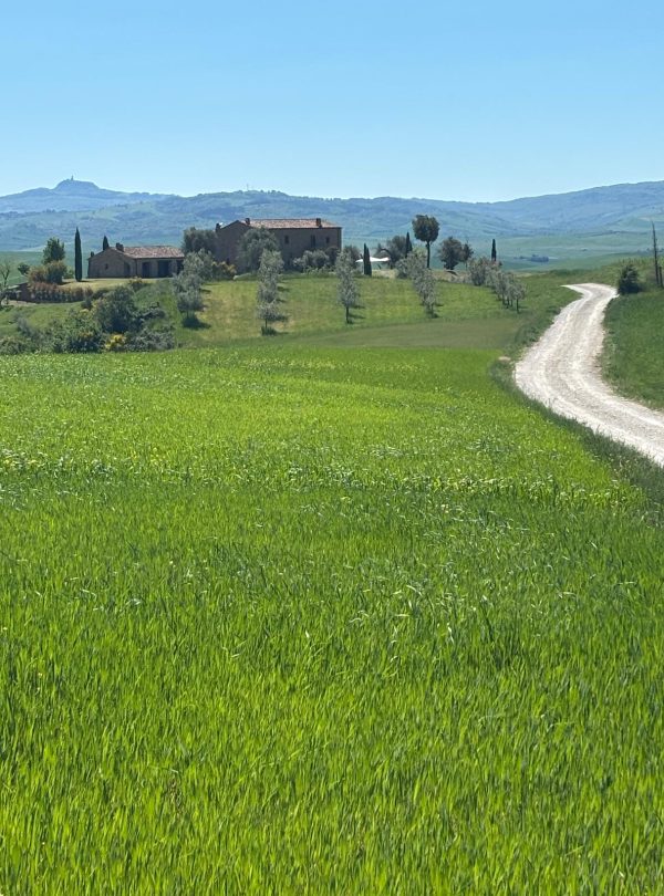 Tuscan villa and rolling green hills, perfect for a Montepulciano coach-cycle tour.