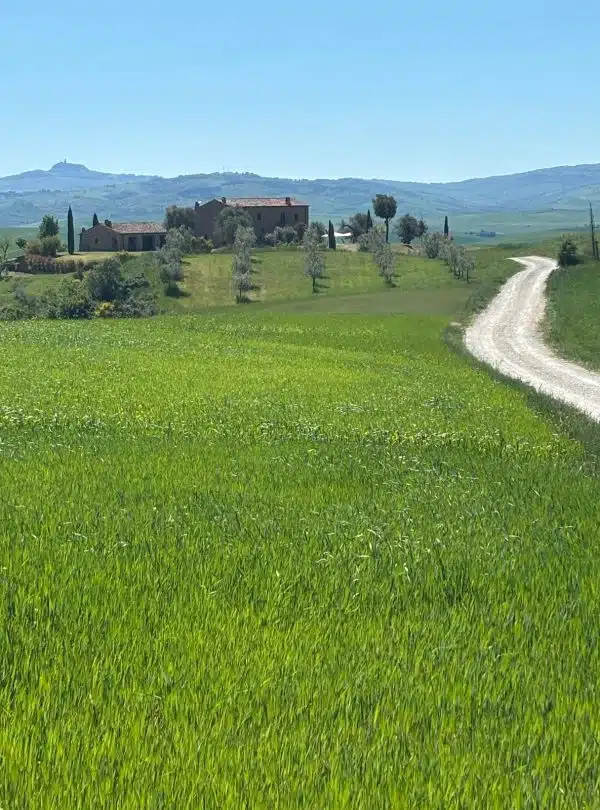 Tuscan villa and rolling green hills, perfect for a Montepulciano coach-cycle tour.