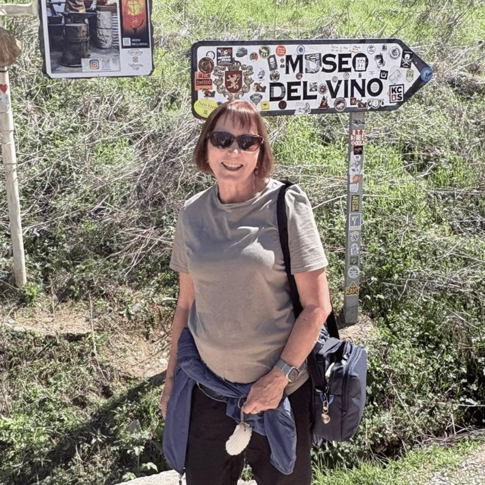 Camino (Francés) LUXE VIP 2026 
